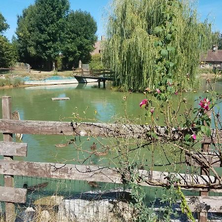 Ferme Bressane Les Arums Mervans 외부 사진